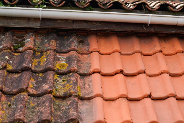 Industrial Roof Cleaning in Lafayette